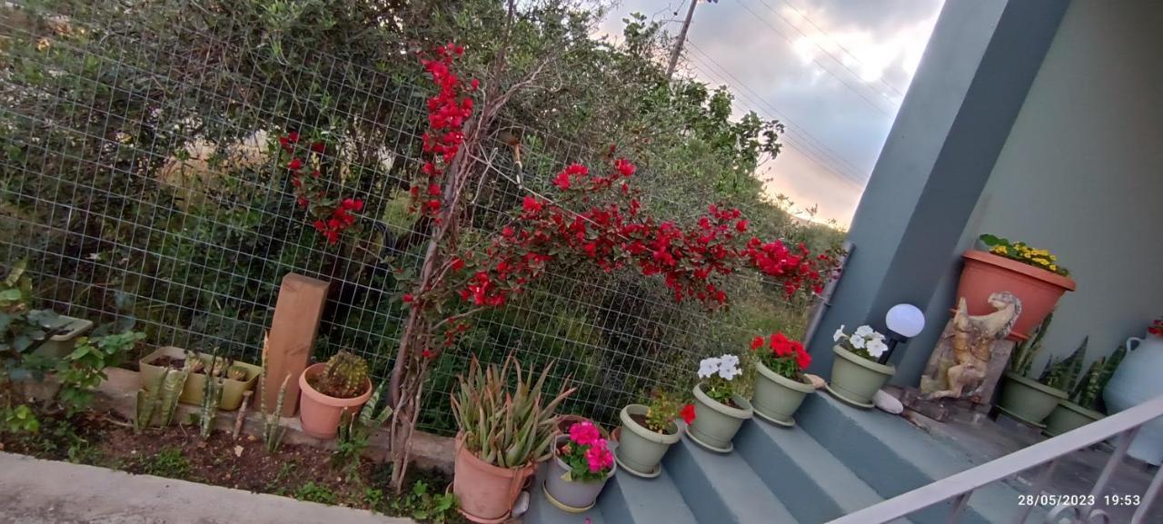 Tzigkouna Marilidiahouse 빌라 외부 사진